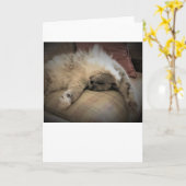 Jours lents, carte (Fleur jaune)