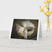 Jours lents, carte (Fleur jaune)