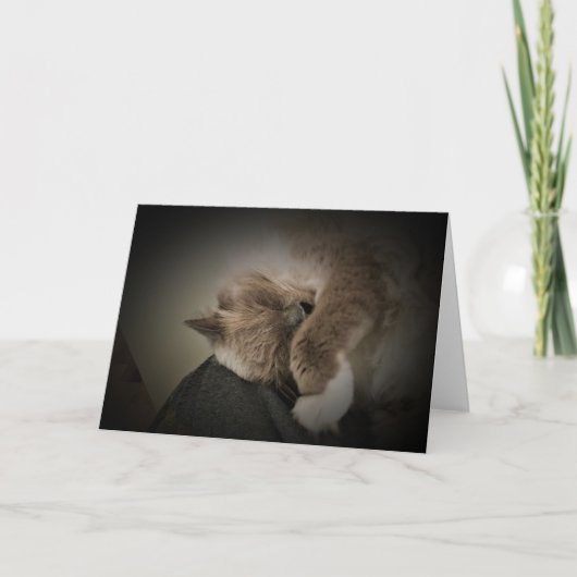 Jours lents, carte (Devant)