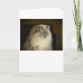 Jours lents, carte (Devant)