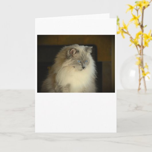 Jours lents, carte (Fleur jaune)