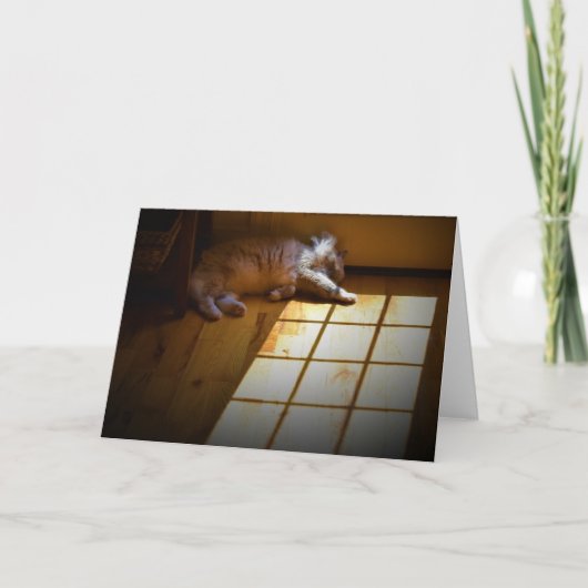 Jours lents, carte (Devant)