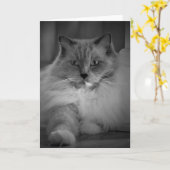 Jours lents, carte (Fleur jaune)