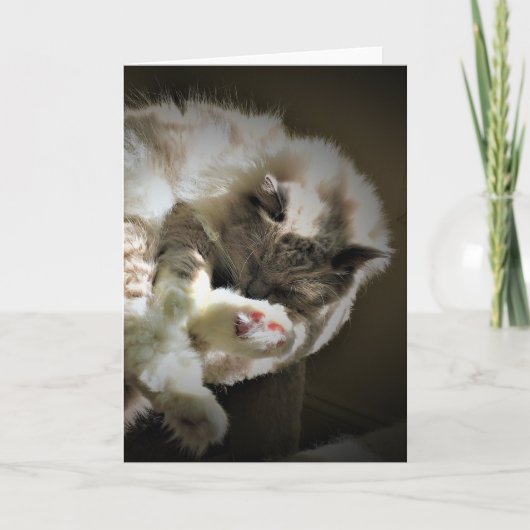 Jours lents, carte (Devant)