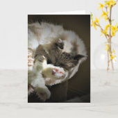 Jours lents, carte (Fleur jaune)