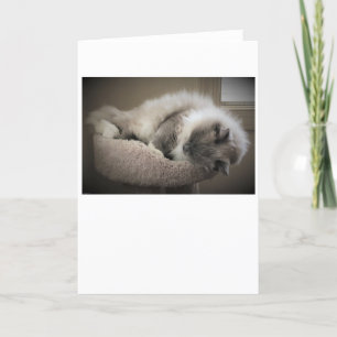 Jours lents, carte