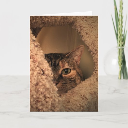 Jours lents, carte (Devant)