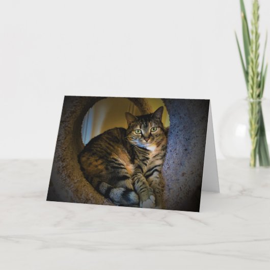 Jours lents, carte (Devant)