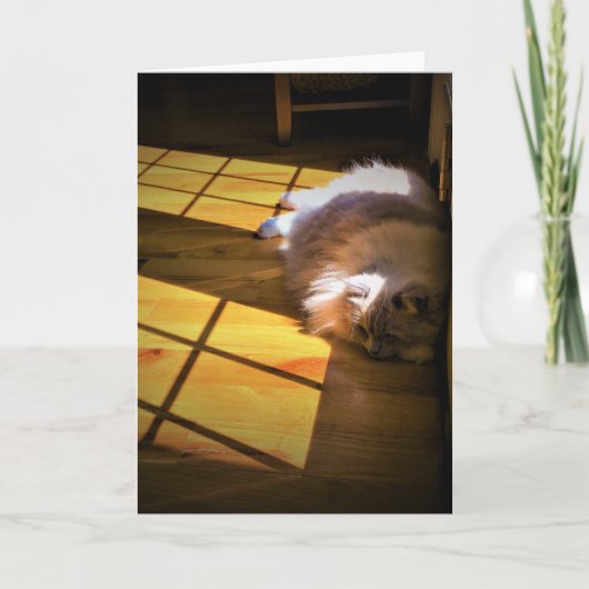 Jours lents, carte (Devant)