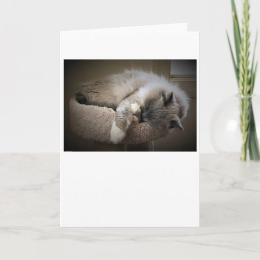 Jours lents, carte (Devant)