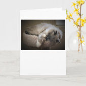 Jours lents, carte (Fleur jaune)