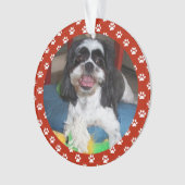 Jouw huisdier als ornament (voorkant)