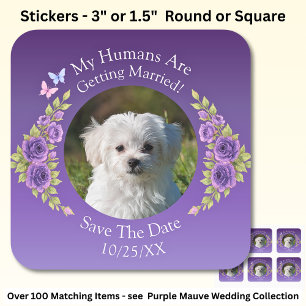 Jouw huisdier foto, datum opslaan, paarse mauve bl vierkante sticker