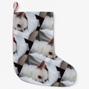Jouw huisdier hond puppy aangepaste foto chihuahua kleine kerstsok