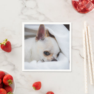 Jouw huisdier hond puppy aangepaste foto chihuahua servet