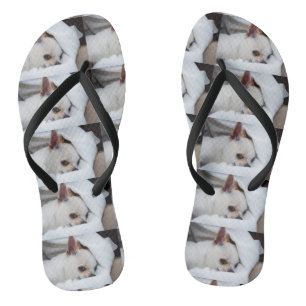 Jouw huisdier hond puppy aangepaste foto chihuahua teenslippers