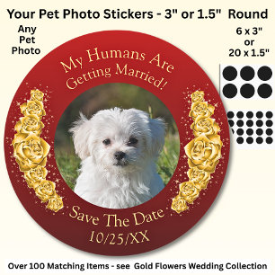 Jouw huisdierfoto, bewaar de datum, gouden bloemen ronde sticker