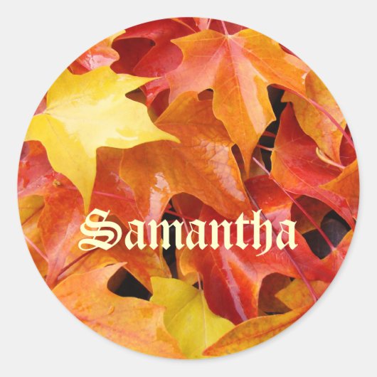 Jouw naam stickers Envelop zeehond Herfstbladeren (Voorkant)