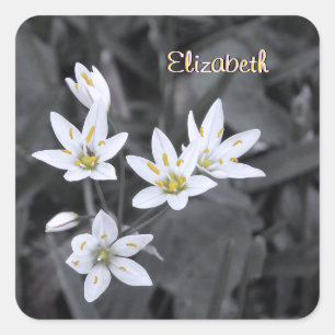 Jouw naam Wildflower Cluster Macro Foto Stickers
