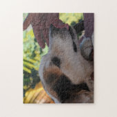 Jovely Dog - Jouer avec son propriétaire Puzzle ph (Vertical)