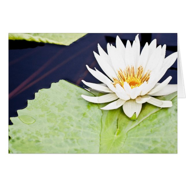 Joy (Voorkant Horizontaal)