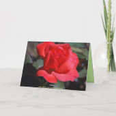 Joy Bonne Carte Rose Anniversaire (Dos)