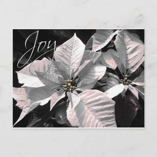 Joy Briefkaart (Voorkant)
