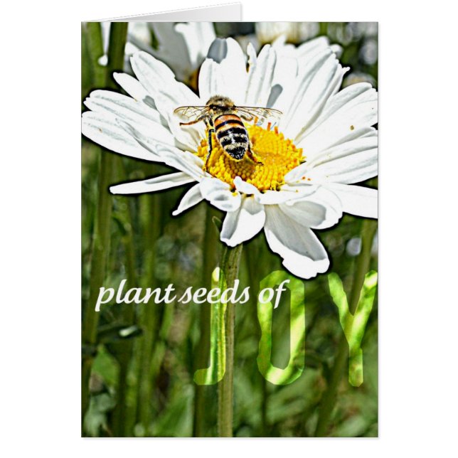 Joy Daisy-kaart (Voorkant)