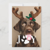 Joy Dog Empreinte de patte Carte photo de Noël (Devant)