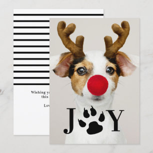 Joy Dog Paw-fotokaart voor kerstfoto's Kaart