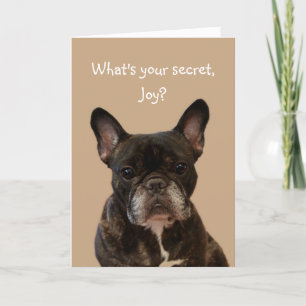 Joy French Bulldog Happy Birthday Kaart
