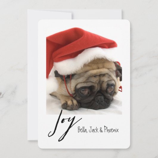 Joy Modern Pet Carte de vacances (Devant)