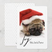 Joy Modern Pet Carte de vacances (Devant / Derrière)