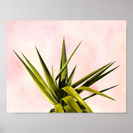 Joy of Dreams Poster (Voorkant)