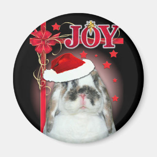 Joy Xmas Magnet Magneet