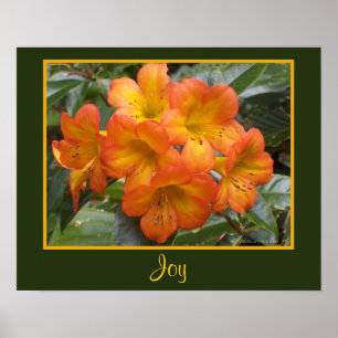 Joy Zen Meditation Oranje Flowers Foto Templat Poster
