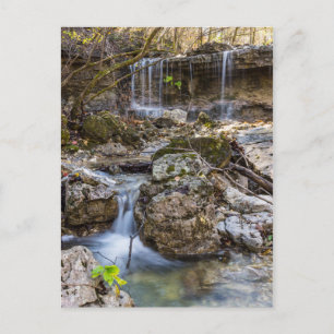 Joyau de la Henning Conservation Carte postale vie