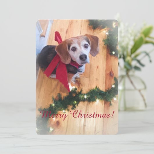 Joyeuse carte Beagle de Noël (Debout devant)