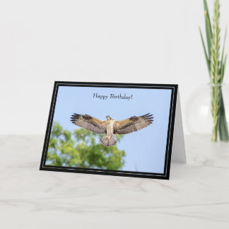 Joyeuse carte d'anniversaire Osprey