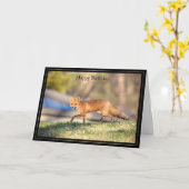 Joyeuse carte d'anniversaire Renard rouge (Fleur jaune)