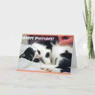 Joyeuse carte de chat du jour de la journée