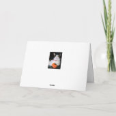 Joyeuse carte de chat sorcière Halloween (Dos)