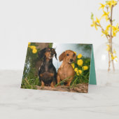 Joyeuse carte de Chien Chien Chien Chien Chien Chi (Fleur jaune)