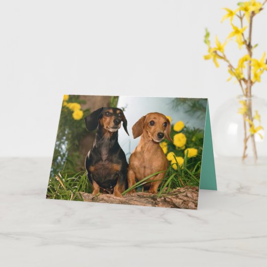 Joyeuse carte de Chien Chien Chien Chien Chien Chi (Fleur jaune)