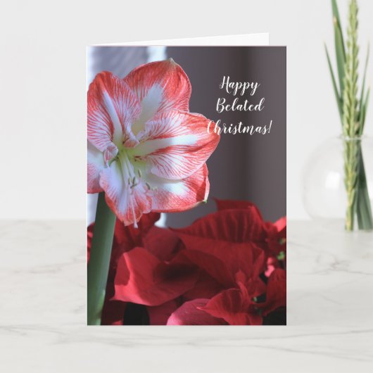 Joyeuse carte de fleur de Noël Amaryllis (Devant)