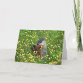 Joyeuse carte de jour de marmotte ! (Dos)