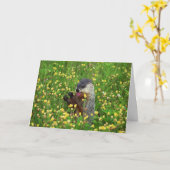 Joyeuse carte de jour de marmotte ! (Fleur jaune)