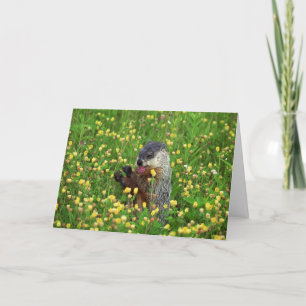 Joyeuse carte de jour de marmotte !