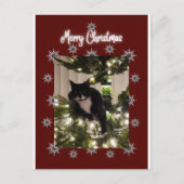 Joyeuse carte de Noël avec Tuxedo cat sur mon arbr (Devant)