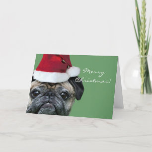 Joyeuse carte de voeux Carlin de Noël